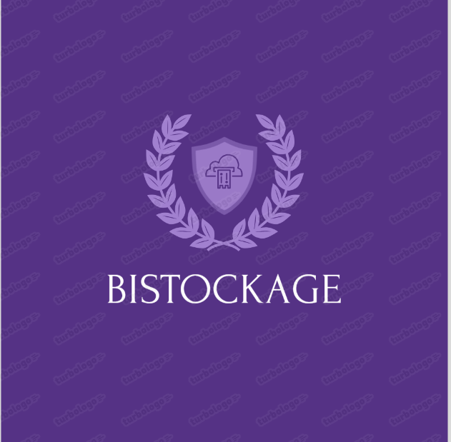 BiStockage Logo